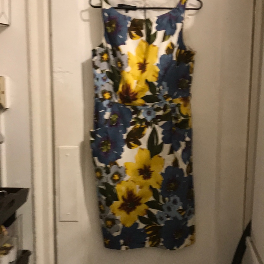 Ladies dress
